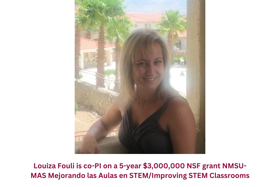Louiza Fouli co-PI on NSF grant 
